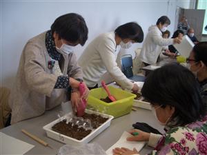 CIMG2907.jpg