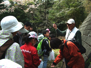 先生に食べられる山菜を教わる
