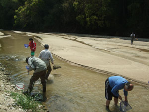 DSCF2046.jpg