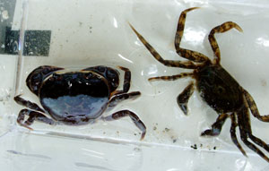 DSCF2073.jpg