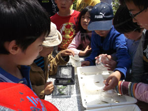 DSCF2496.jpg