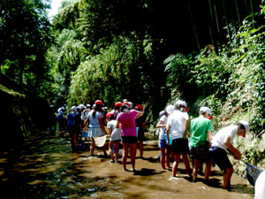 DSCF2701.jpg