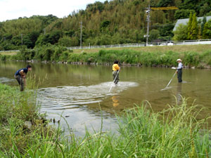 DSCF2800.jpg