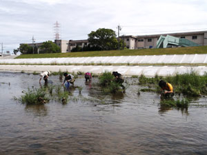 DSCF2827.jpg