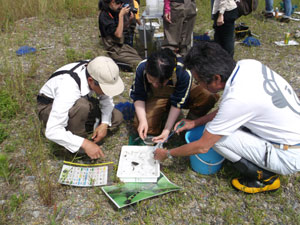 DSCF2837.jpg