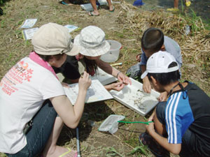 DSCF3718.jpg