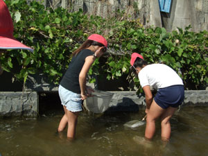 DSCF3977.jpg