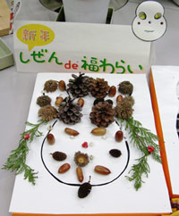 DSCF4797.jpg