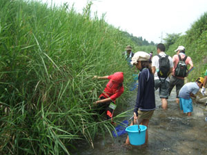DSCF9649.jpg