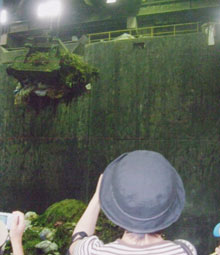 DSCF9800.jpg