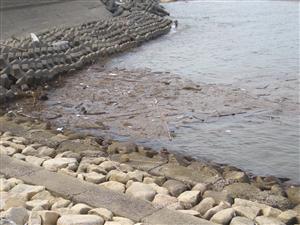 画像 077.jpg