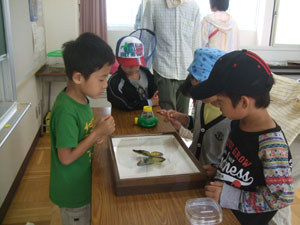 虫2013.jpg
